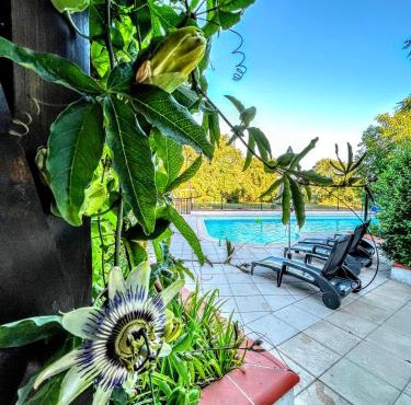 L'or et des Landes MAISON AVEC PISCINE ET VUE