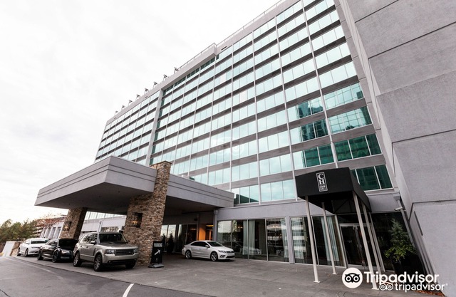 Hotel Colee, Atlanta Buckhead, Autograph Collection